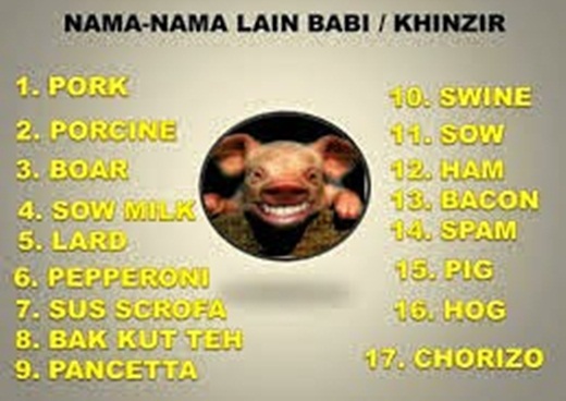 Nama & Istilah Lain dari Babi yang Harus Anda Ketahui